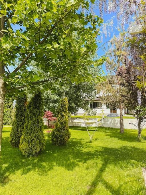 Therme - Corbeanca By The Lake Luxury Villa Exterior foto