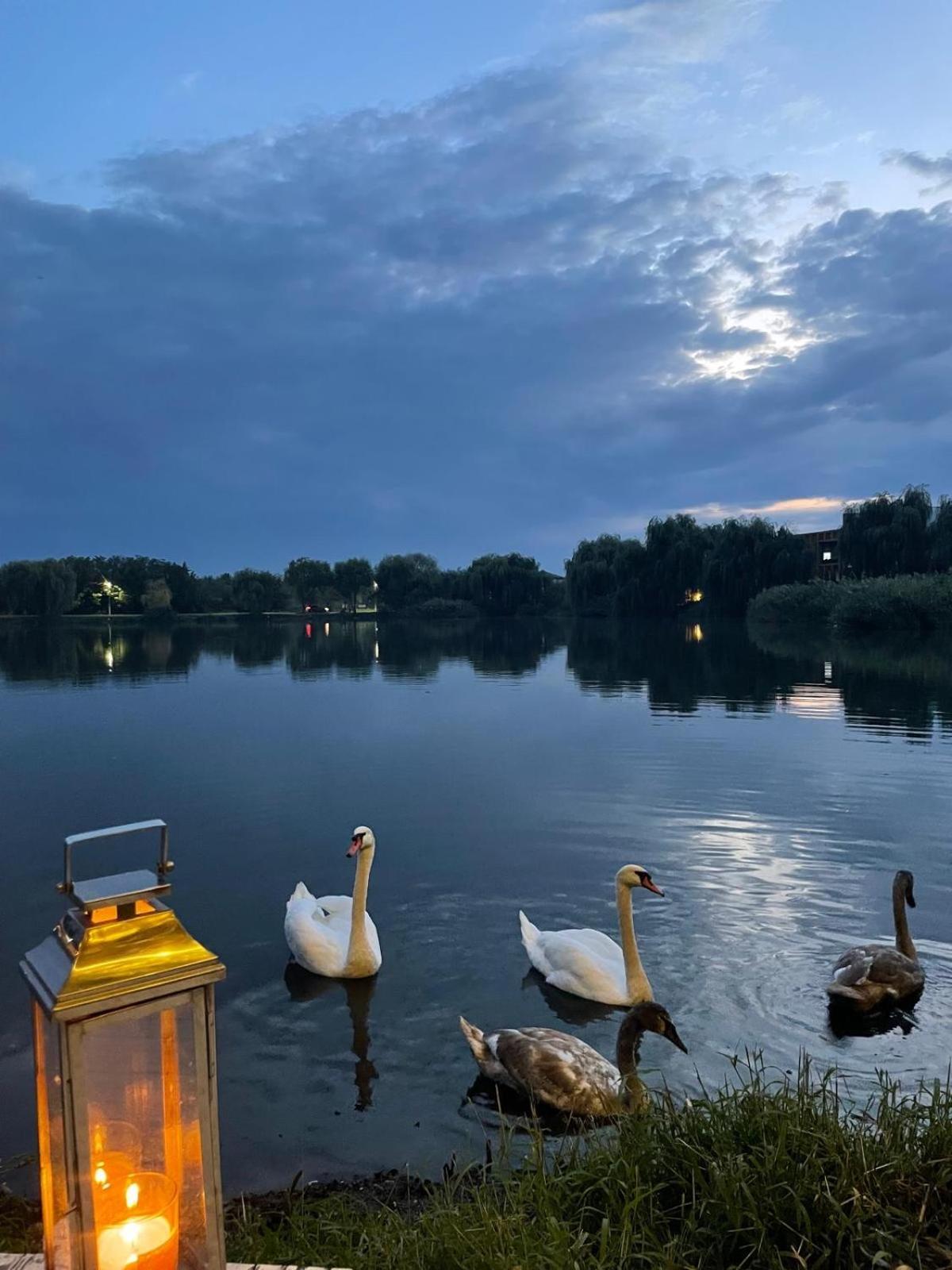Therme - Corbeanca By The Lake Luxury Villa Exterior foto